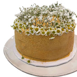 Honey Cake